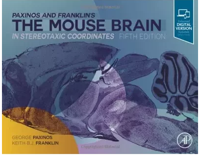 小鼠脑图谱 the mouse brain