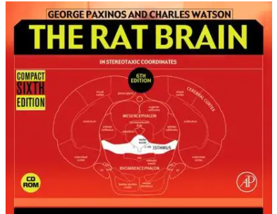 大鼠脑图谱 the rat brain