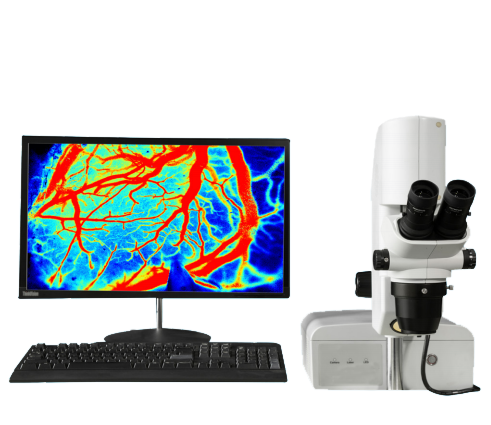 激光散斑血流仪